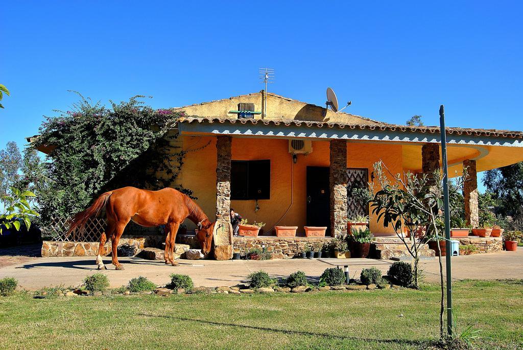 Agriturismo Monte Majore Siliqua Buitenkant foto